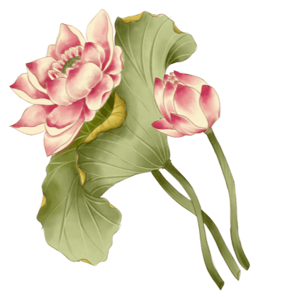 lotus