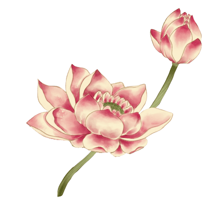 lotus