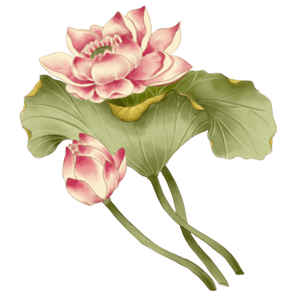 lotus