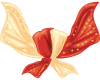 Shubh Vivah & Reception